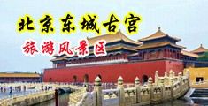 操逼逼视频看看中国北京-东城古宫旅游风景区